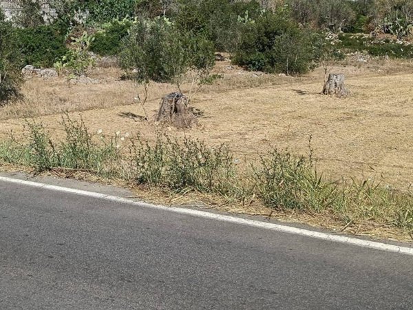 terreno in vendita a Neviano