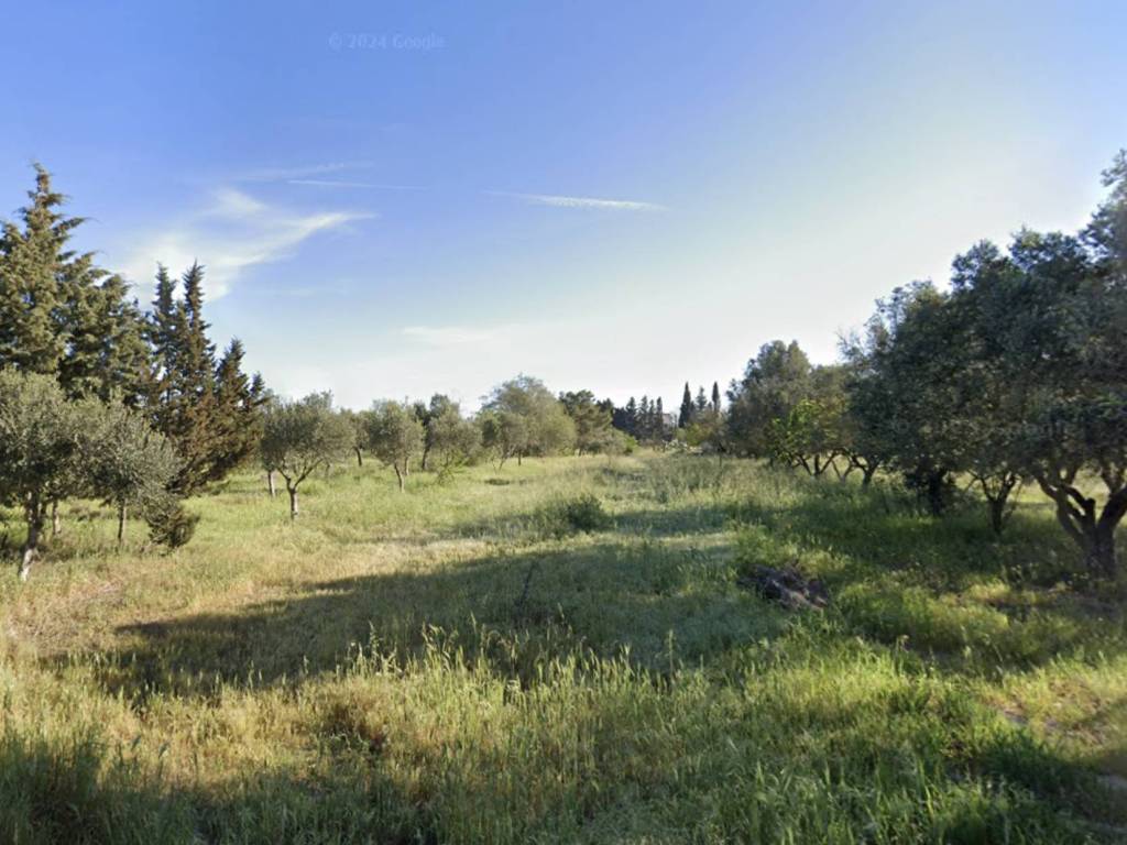 terreno agricolo in vendita a Novoli