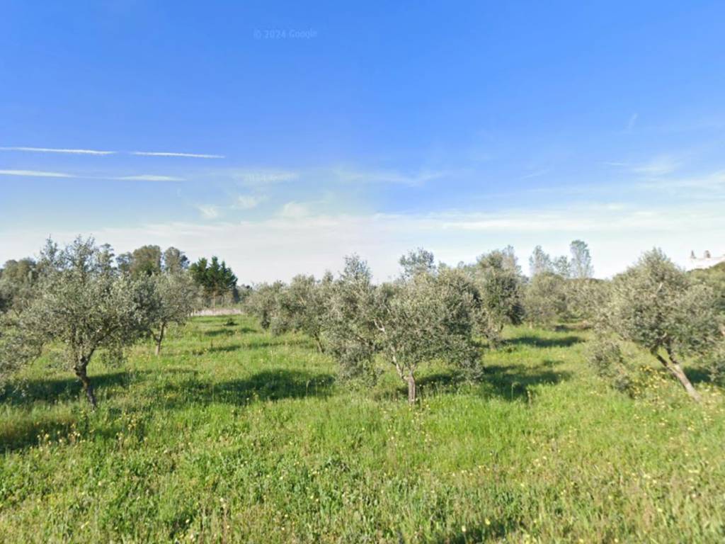 terreno agricolo in vendita a Novoli