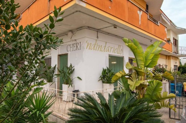 negozio in vendita a Novoli