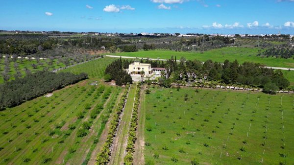 casa indipendente in vendita a Novoli