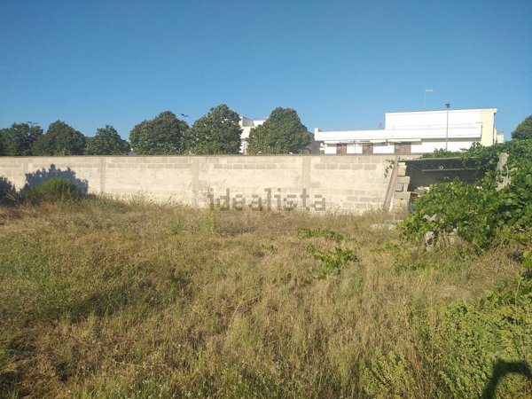 terreno agricolo in vendita a Novoli