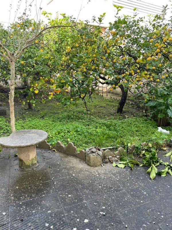 appartamento in vendita a Novoli