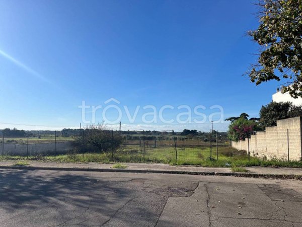 terreno agricolo in vendita a Novoli