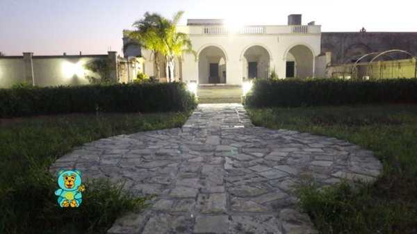 casa indipendente in vendita a Novoli