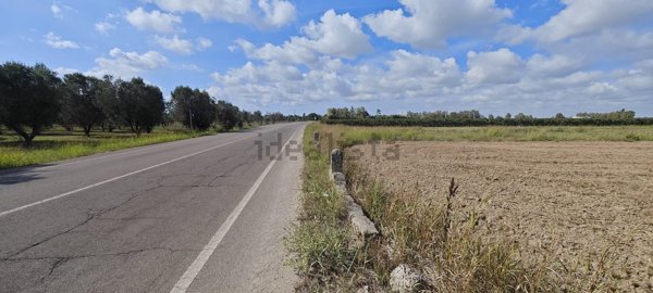 terreno agricolo in vendita a Novoli