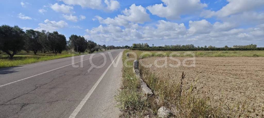 terreno agricolo in vendita a Novoli