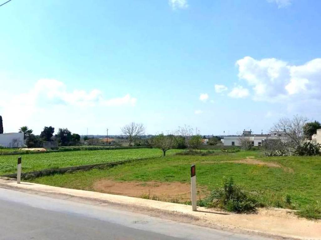 terreno agricolo in vendita ad Ortelle