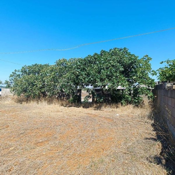 terreno agricolo in vendita ad Ortelle