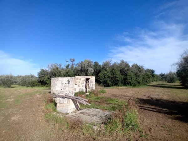 terreno agricolo in vendita ad Ortelle