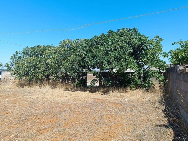 terreno agricolo in vendita ad Ortelle