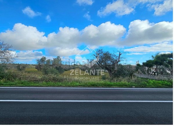 terreno agricolo in vendita ad Ortelle in zona Vignacastrisi