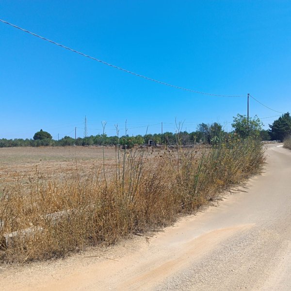 terreno agricolo in vendita ad Ortelle