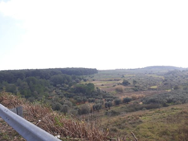 terreno agricolo in vendita ad Otranto