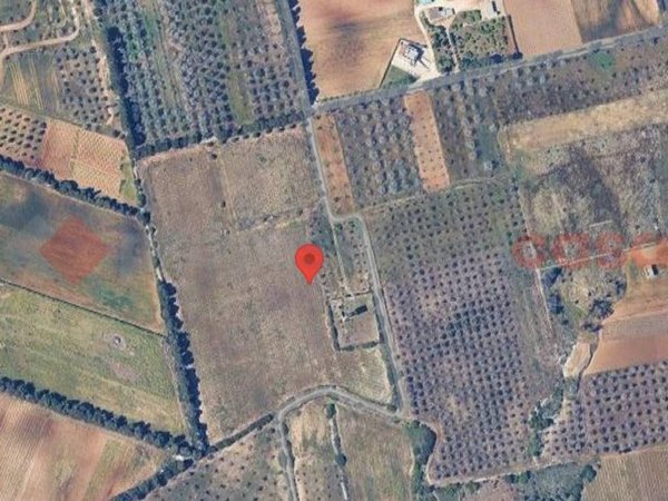 terreno agricolo in vendita ad Otranto
