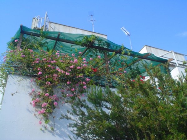 appartamento in vendita ad Otranto