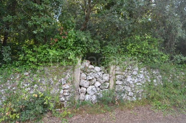 terreno agricolo in vendita a Palmariggi