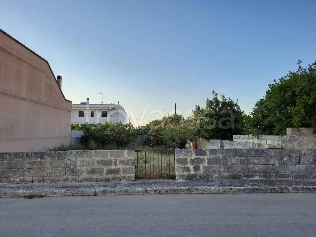 terreno agricolo in vendita a Palmariggi
