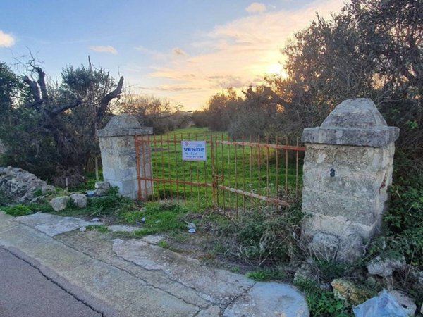 terreno agricolo in vendita a Parabita