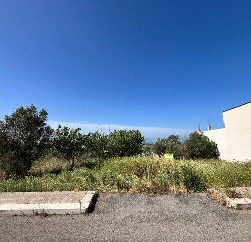 terreno agricolo in vendita a Parabita