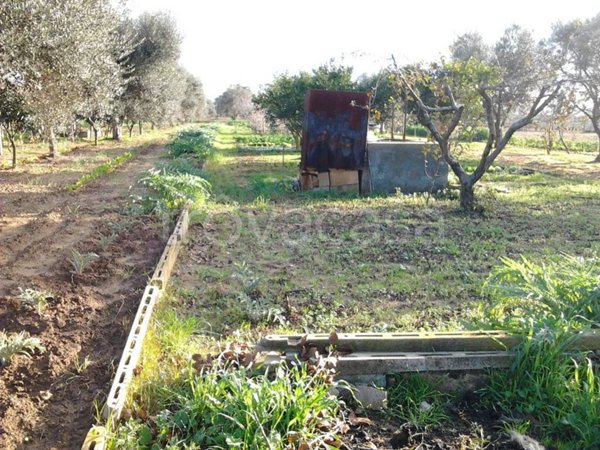 terreno agricolo in vendita a Parabita