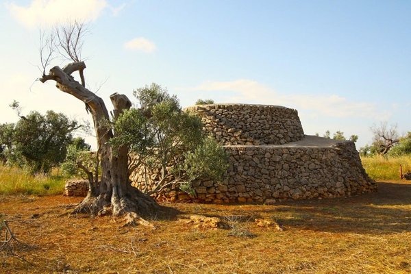 terreno agricolo in vendita a Parabita