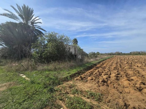 casa indipendente in vendita a Parabita