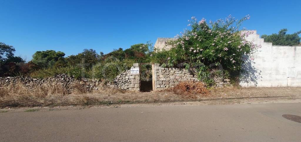 terreno agricolo in vendita a Parabita