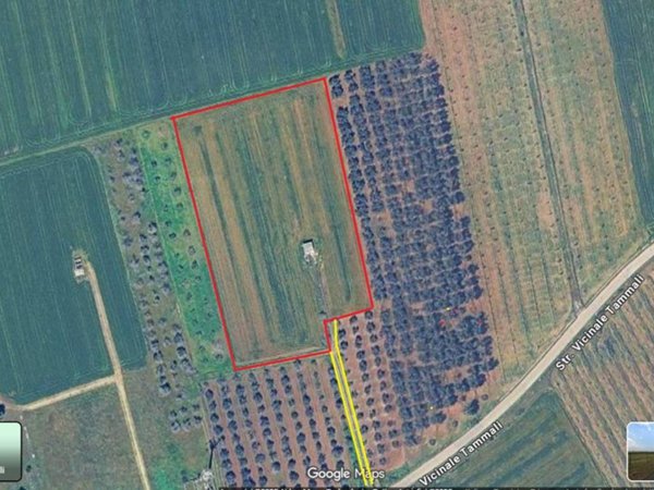 terreno agricolo in vendita a Parabita