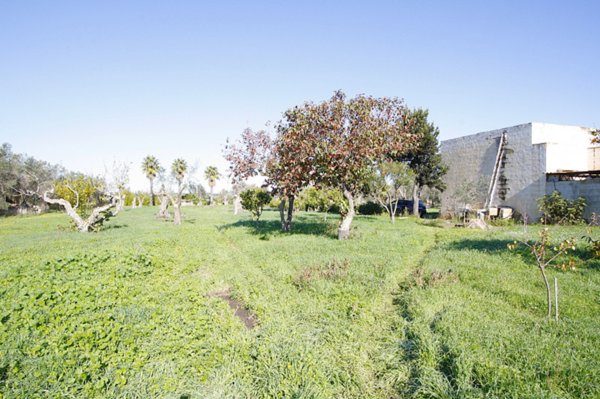 casa indipendente in vendita a Parabita