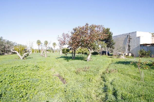 casa indipendente in vendita a Parabita