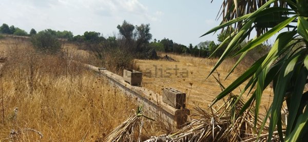 terreno agricolo in vendita a Parabita