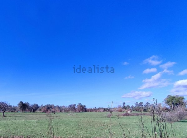 terreno agricolo in vendita a Parabita