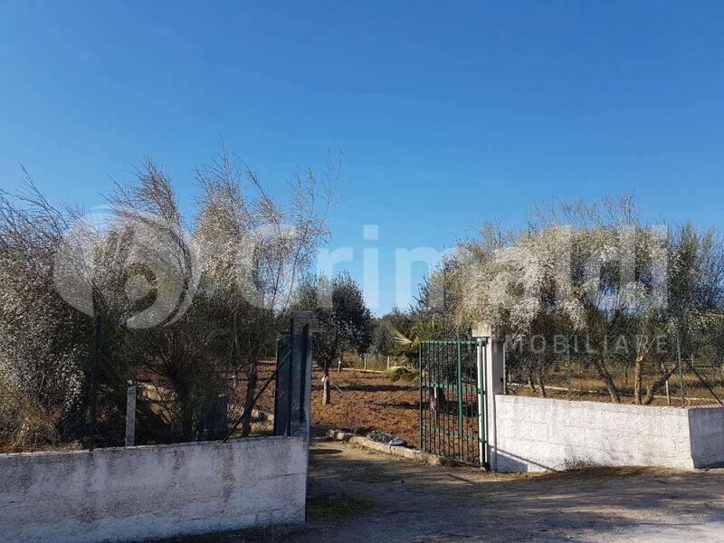 casa indipendente in vendita a Parabita