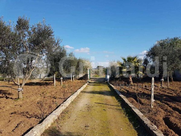 casa indipendente in vendita a Parabita