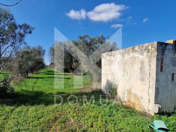terreno agricolo in vendita a Parabita