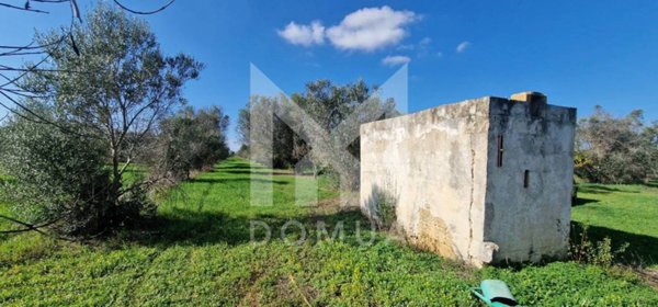 terreno agricolo in vendita a Parabita
