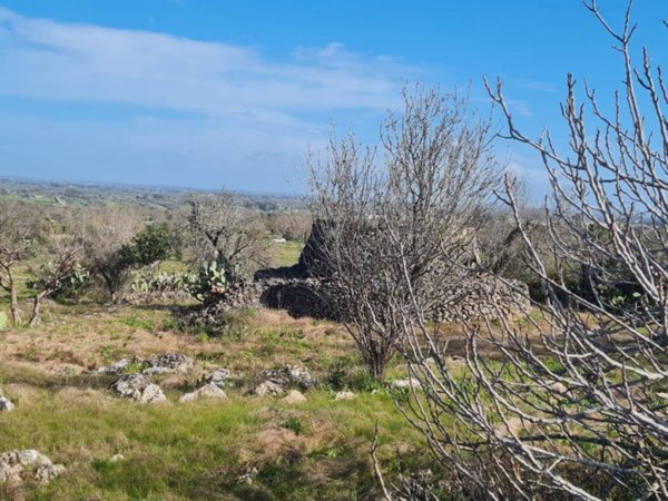 casa indipendente in vendita a Parabita