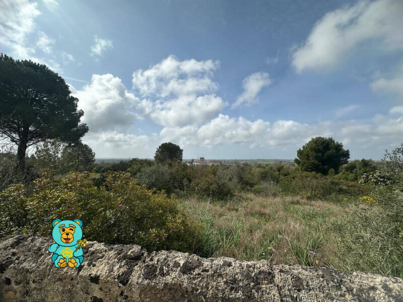 terreno agricolo in vendita a Parabita