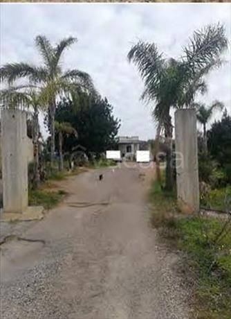 ufficio in vendita a Parabita