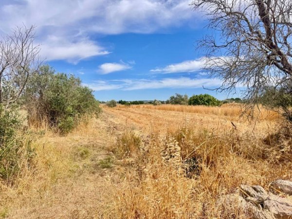 terreno agricolo in vendita a Parabita