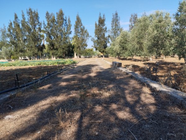 casa indipendente in vendita a Parabita