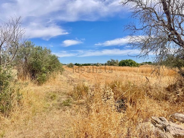 terreno in vendita a Parabita