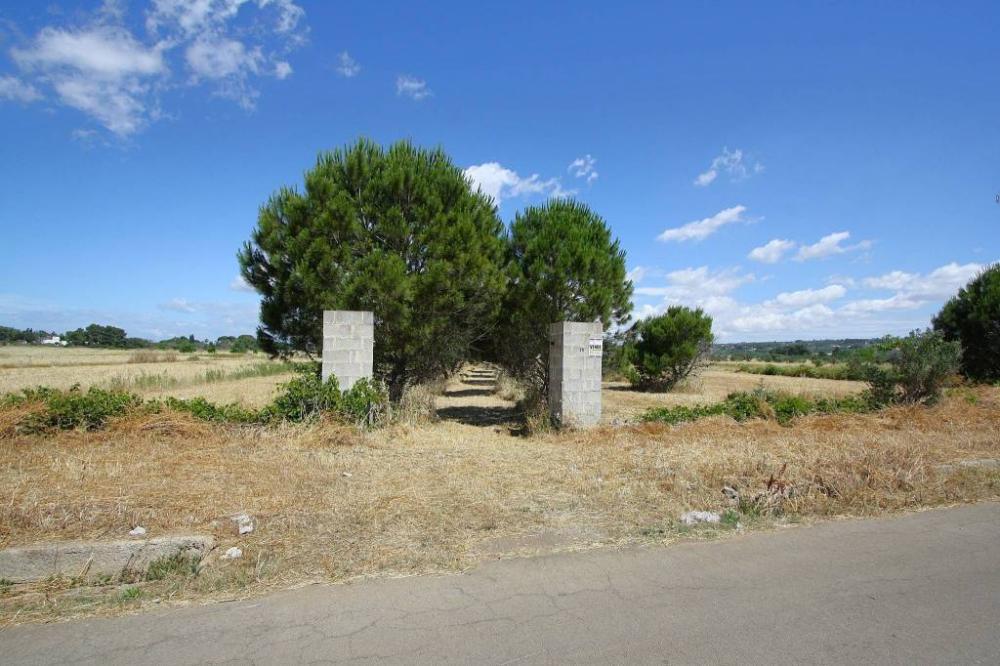 terreno in vendita a Parabita