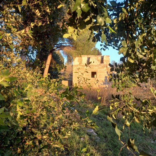 terreno in vendita a Parabita