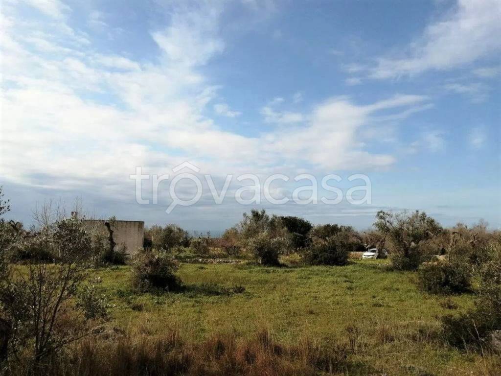 terreno agricolo in vendita a Patù