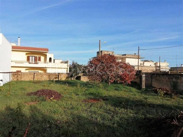 terreno agricolo in vendita a Patù