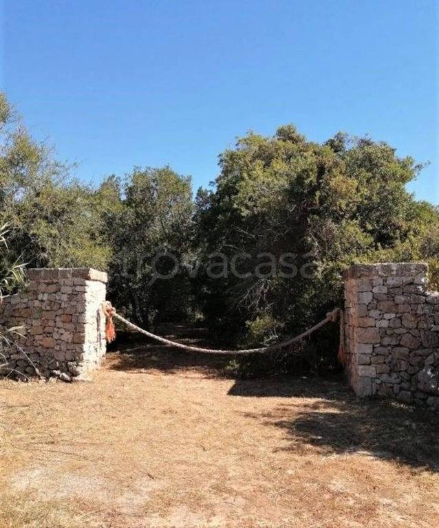 terreno agricolo in vendita a Patù