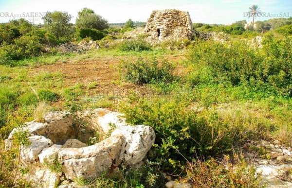 terreno agricolo in vendita a Patù
