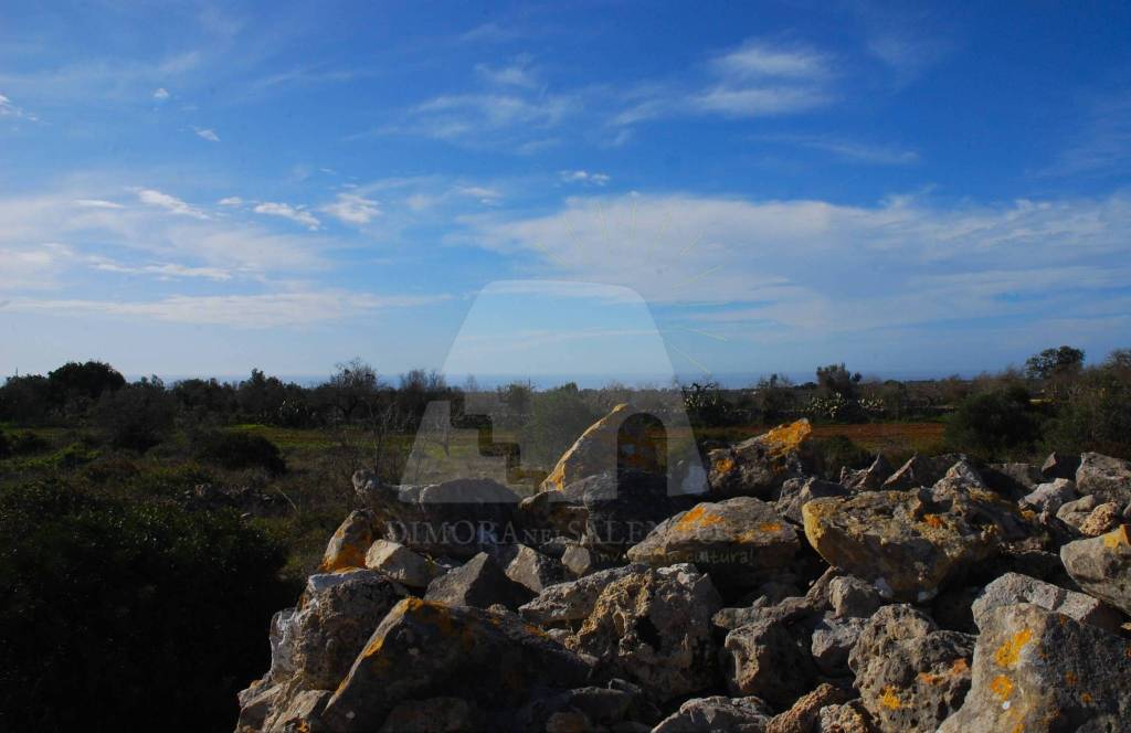 terreno agricolo in vendita a Patù